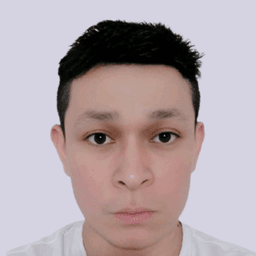 Gonzalo Ruiz Mijangos Profile Picture